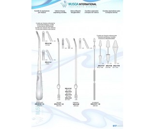 Uterine Biopsy Aspirating Curetts  